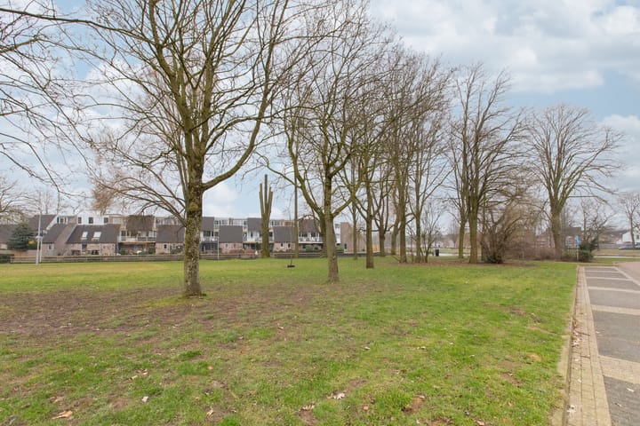 Foto 48 van Israëlsstraat 22