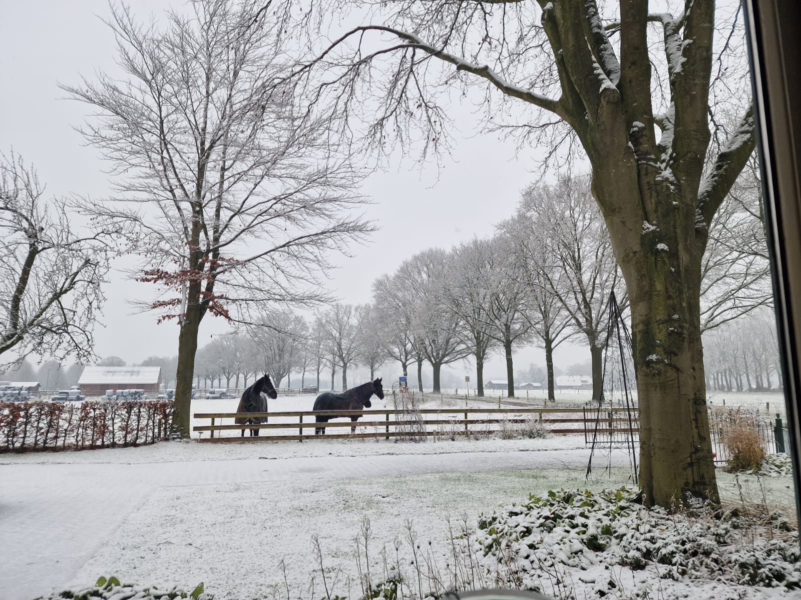 Foto 3 van Varsselseweg 5