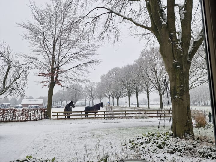 Foto 3 van Varsselseweg 5