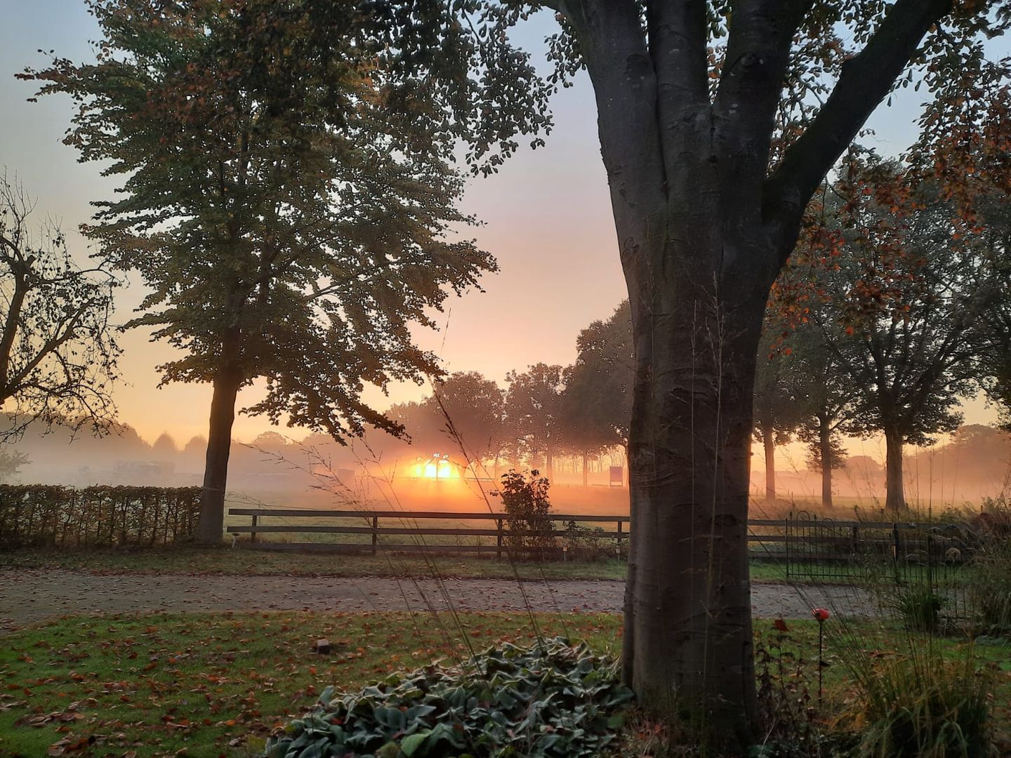 Foto 4 van Varsselseweg 5