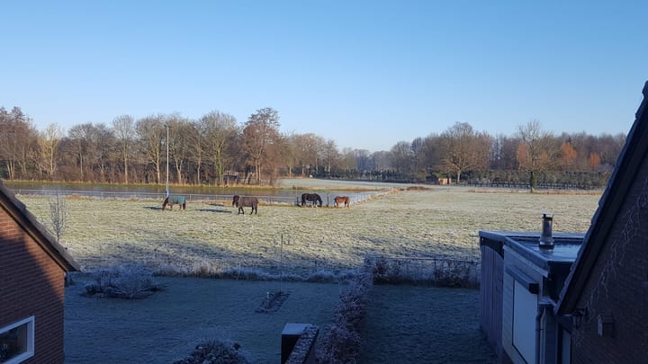 Foto 5 van Varsselseweg 5