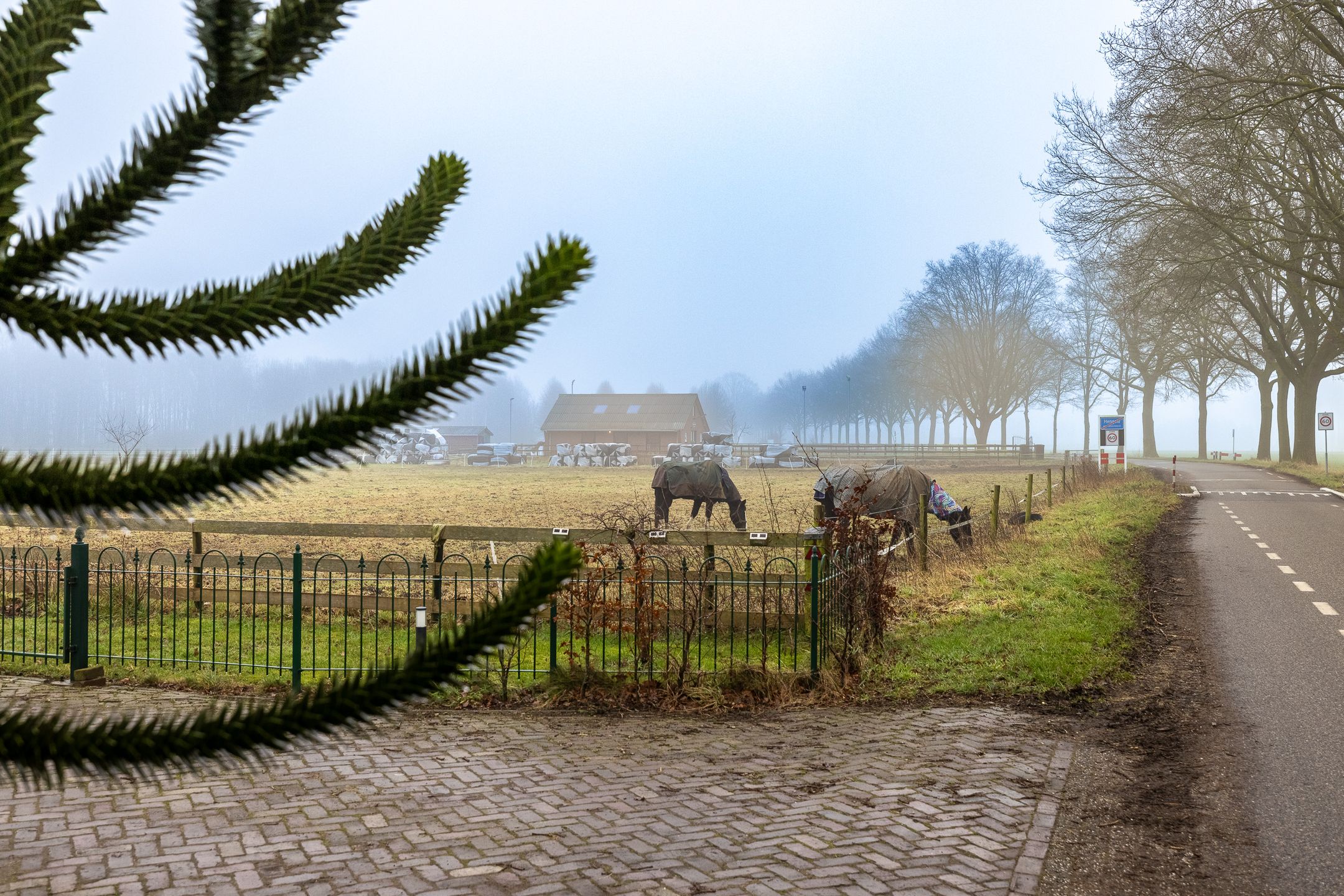 Foto 51 van Varsselseweg 5