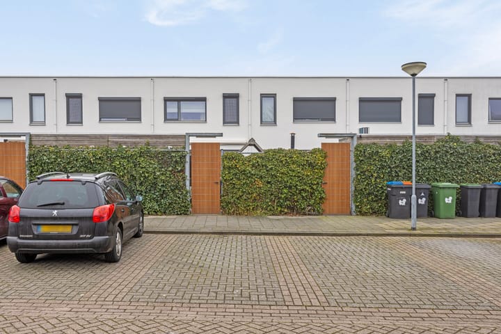 Foto 24 van Oeverzwaluw 52