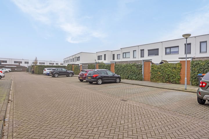 Foto 25 van Oeverzwaluw 52