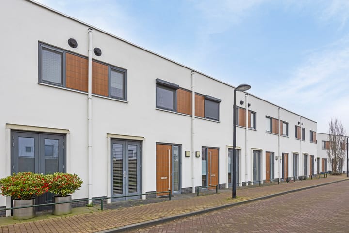 Foto 26 van Oeverzwaluw 52