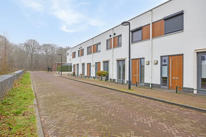 Foto 27 van Oeverzwaluw 52