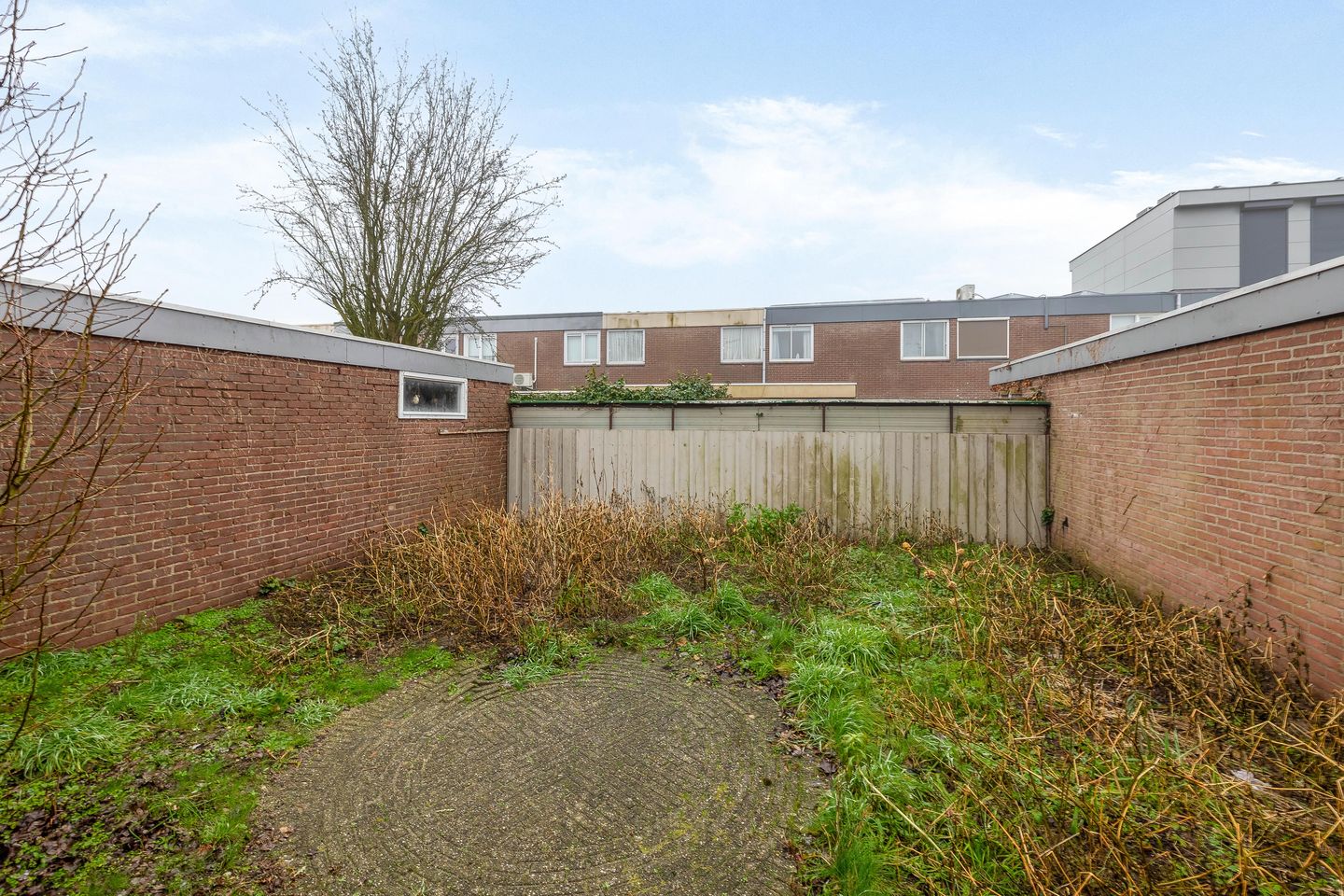 Foto 19 van Albardastraat 27