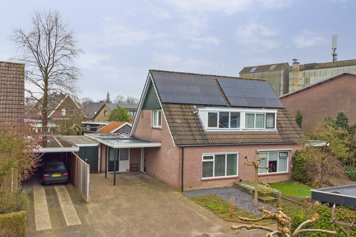 undefined main image