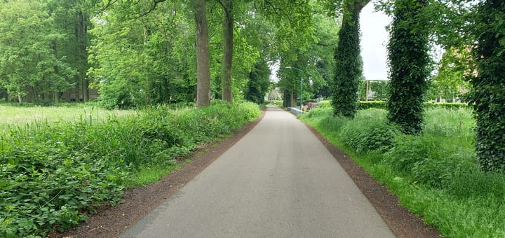 Foto 43 van Boschlaan 1