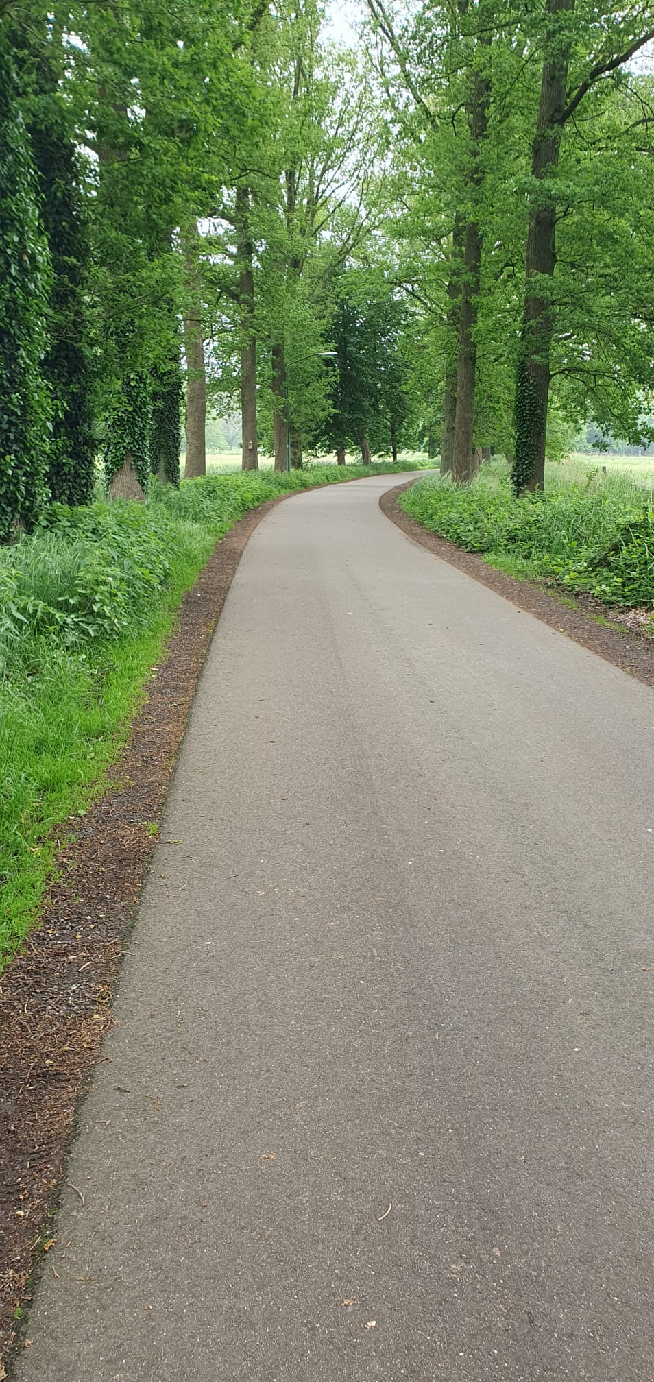 Foto 45 van Boschlaan 1