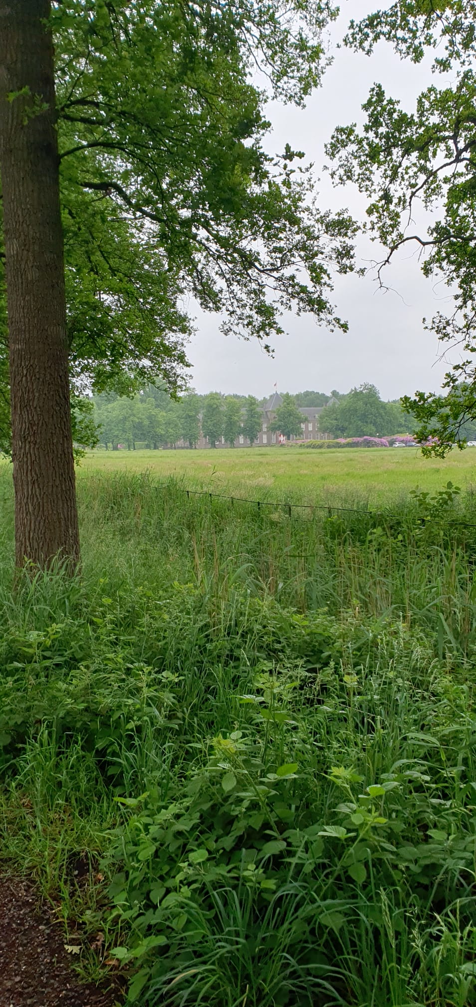 Foto 46 van Boschlaan 1