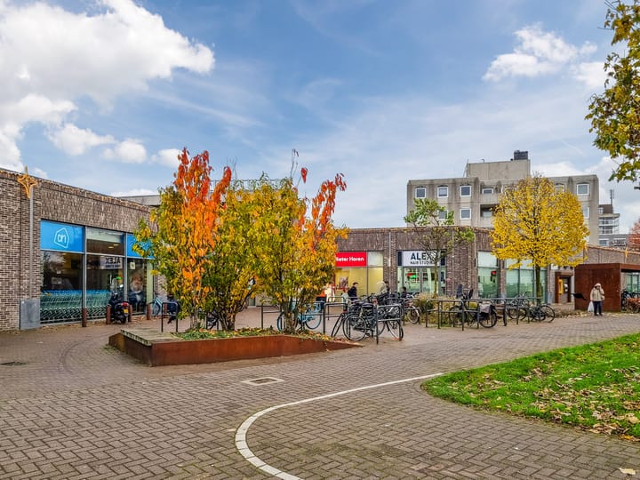 Foto 50 van Tesselschadelaan 1