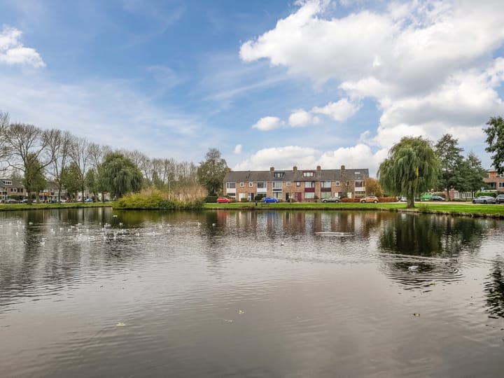 Foto 52 van Tesselschadelaan 1