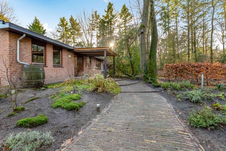 Foto 6 van Beukenlaan 3