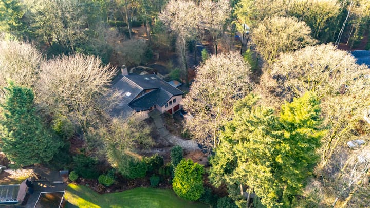 Foto 119 van Beukenlaan 3