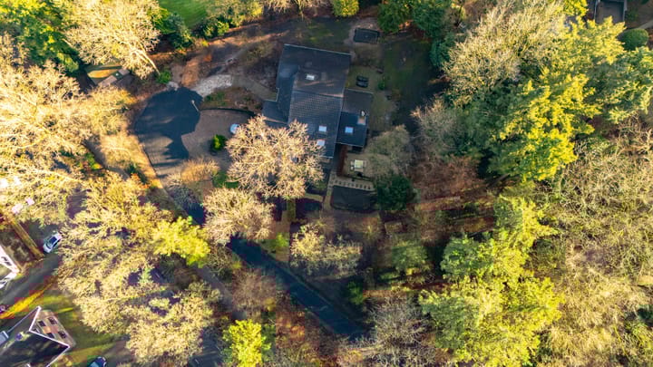 Foto 120 van Beukenlaan 3