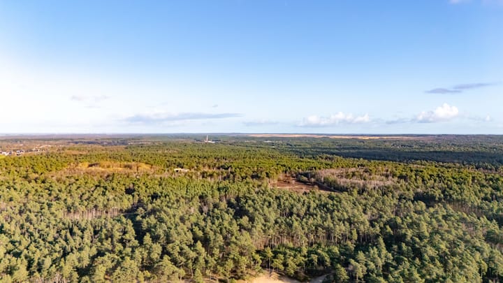 Foto 124 van Beukenlaan 3