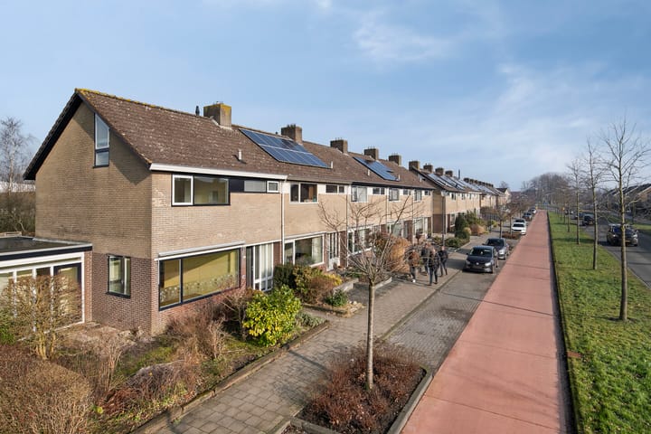 Foto 8 van Splitting 25