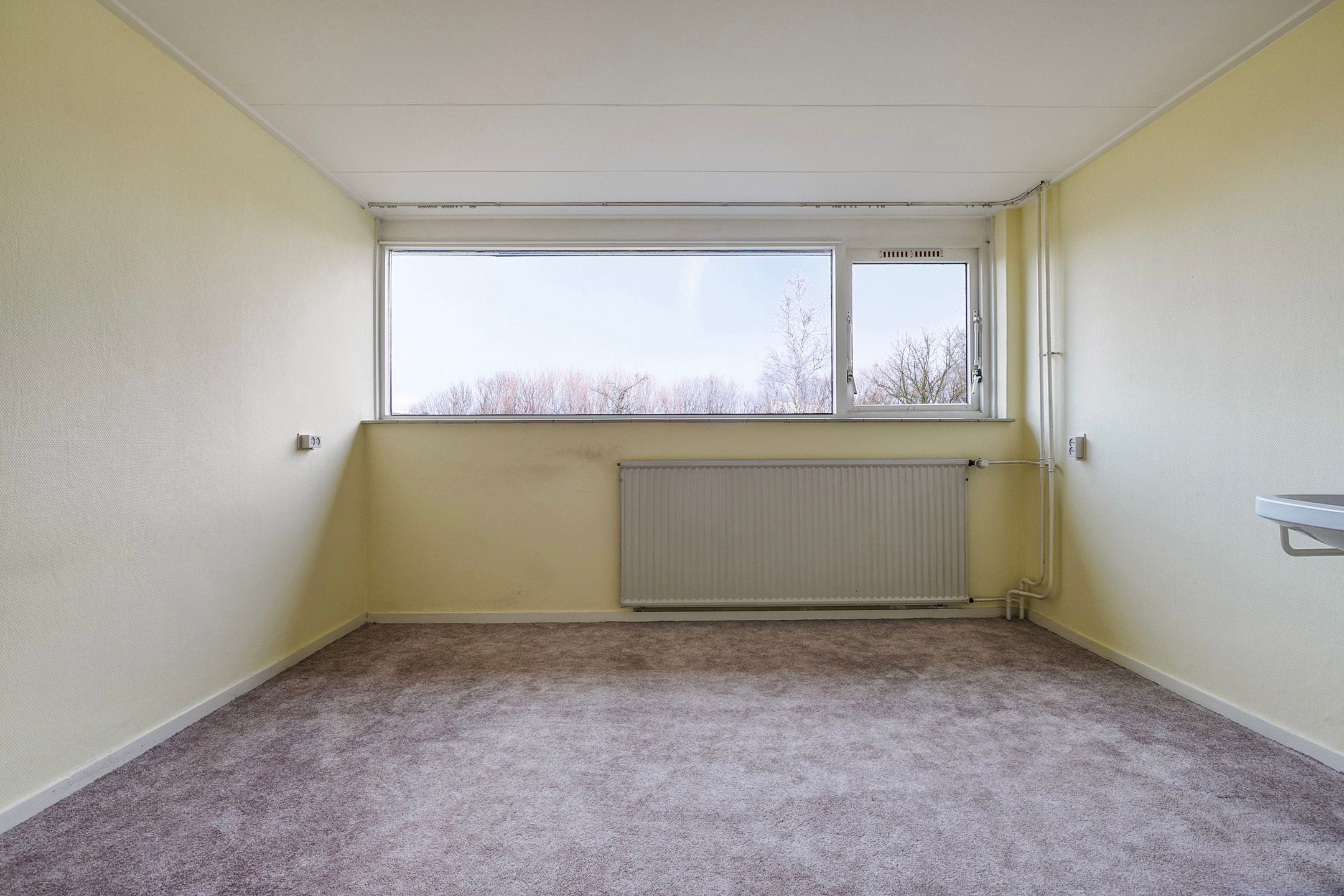 Foto 36 van Splitting 25