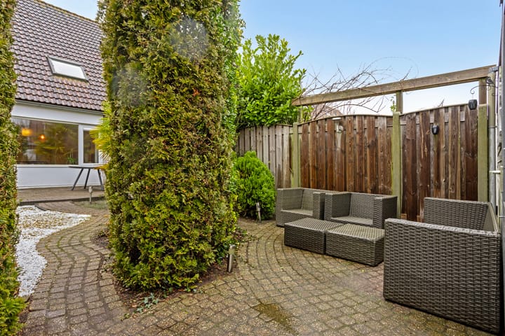 Foto 19 van Grauwe Gans 12