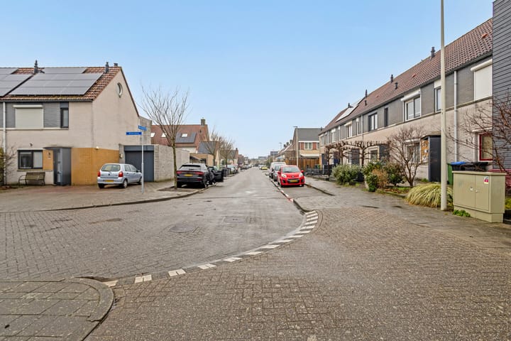 Foto 20 van Grauwe Gans 12