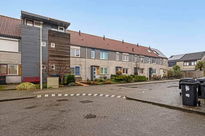 Foto 21 van Grauwe Gans 12