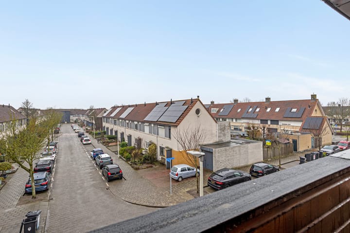 Foto 22 van Grauwe Gans 12