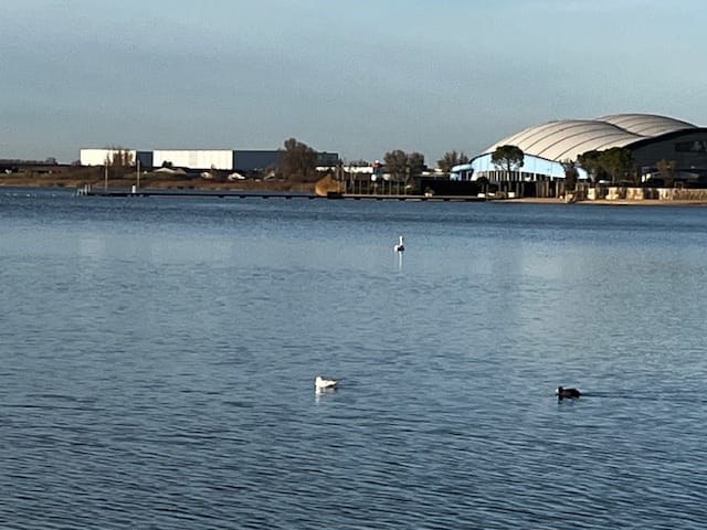 Foto 24 van Grauwe Gans 12