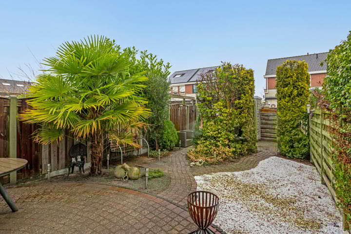 Foto 2 van Grauwe Gans 12