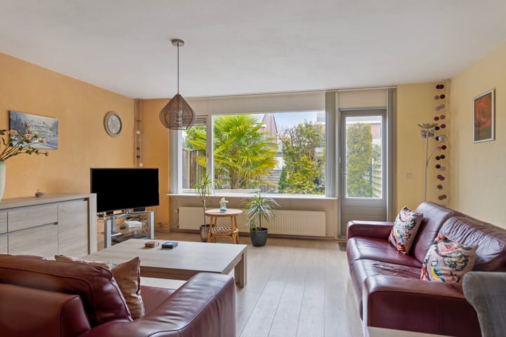 Foto 3 van Grauwe Gans 12