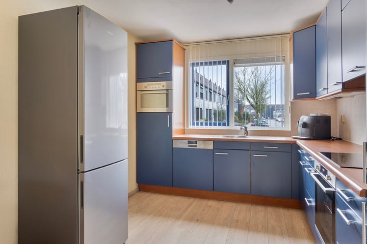 Foto 4 van Grauwe Gans 12