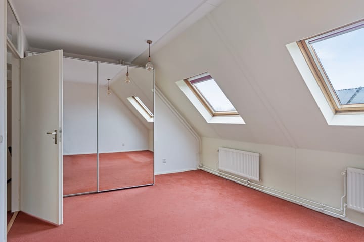 Foto 5 van Grauwe Gans 12