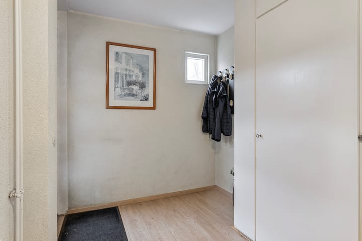 Foto 6 van Grauwe Gans 12