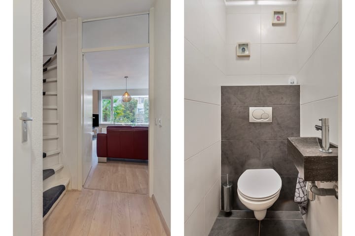 Foto 7 van Grauwe Gans 12