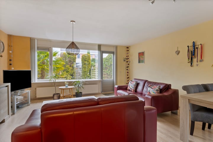 Foto 8 van Grauwe Gans 12