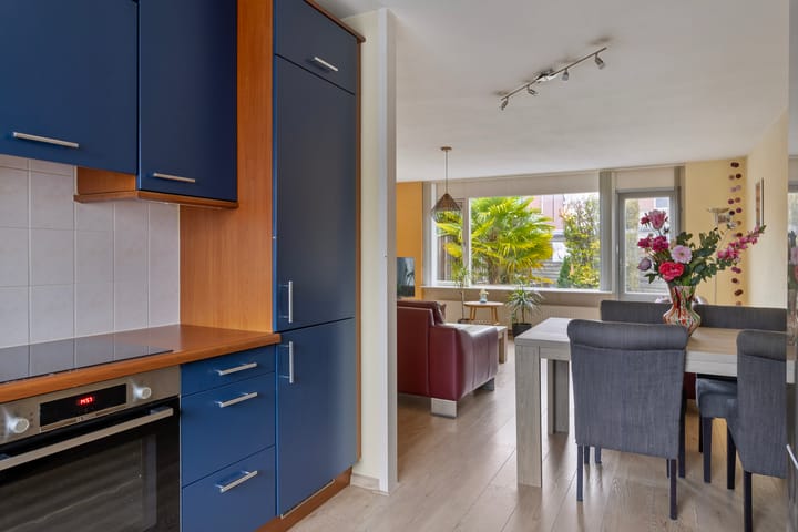 Foto 10 van Grauwe Gans 12