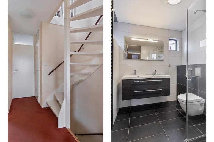 Foto 11 van Grauwe Gans 12