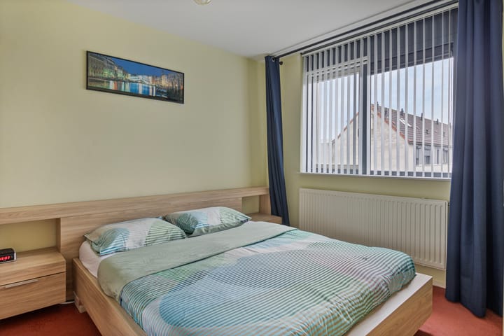 Foto 12 van Grauwe Gans 12