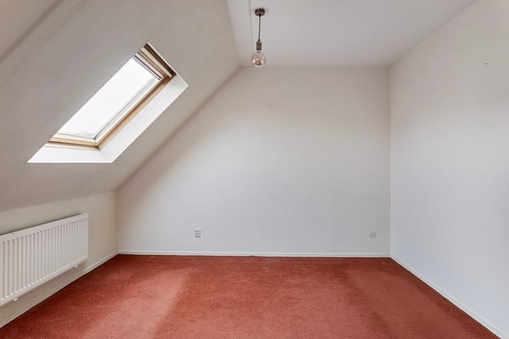 Foto 14 van Grauwe Gans 12