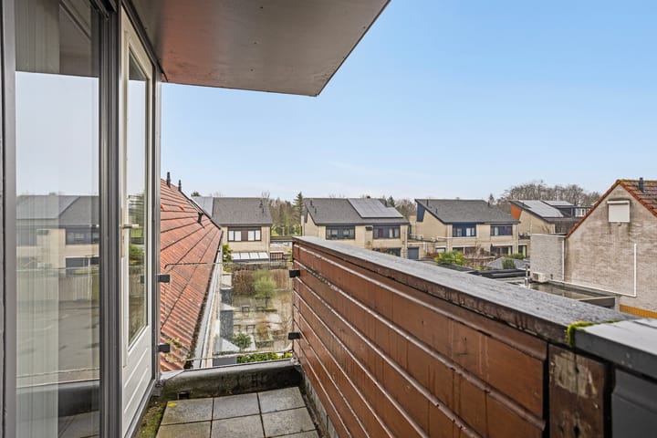 Foto 17 van Grauwe Gans 12