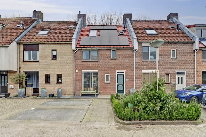 undefined main image
