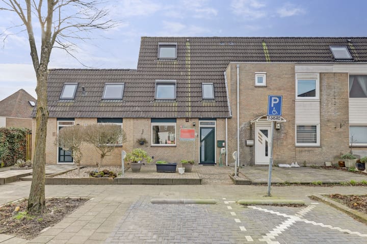 Bekijk foto van Aristotelestuin 21