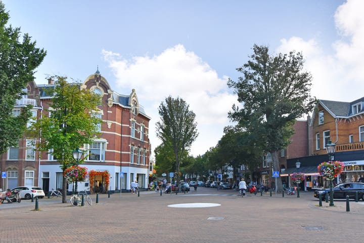 Foto 29 van Cornelis de Wittlaan 40