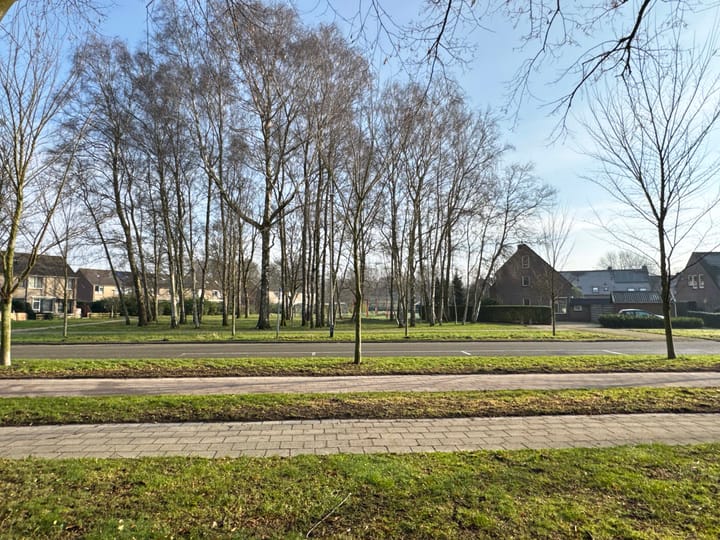 Foto 19 van van den Boetzelaerlaan 22