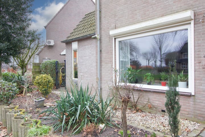 Foto 36 van Zwaluw 32