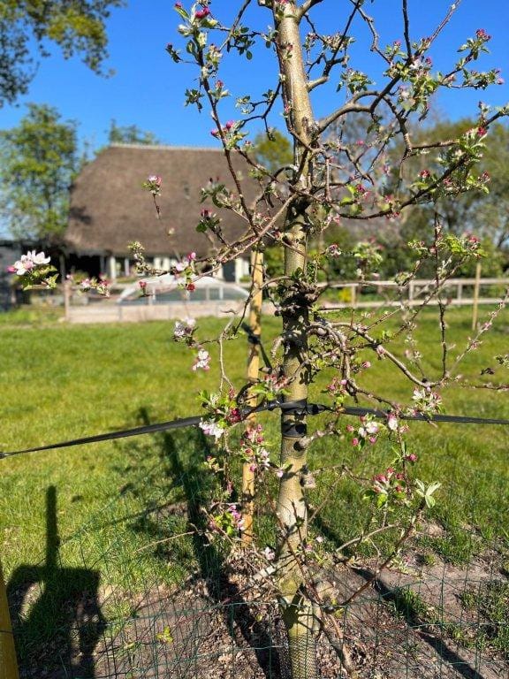 Foto 2 van Witte Menweg 6