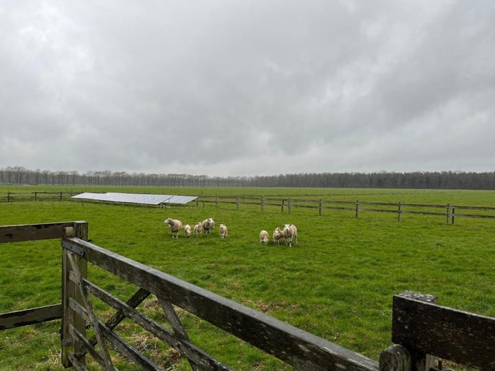 Foto 24 van Witte Menweg 6