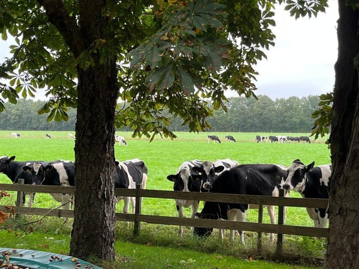 Foto 25 van Witte Menweg 6