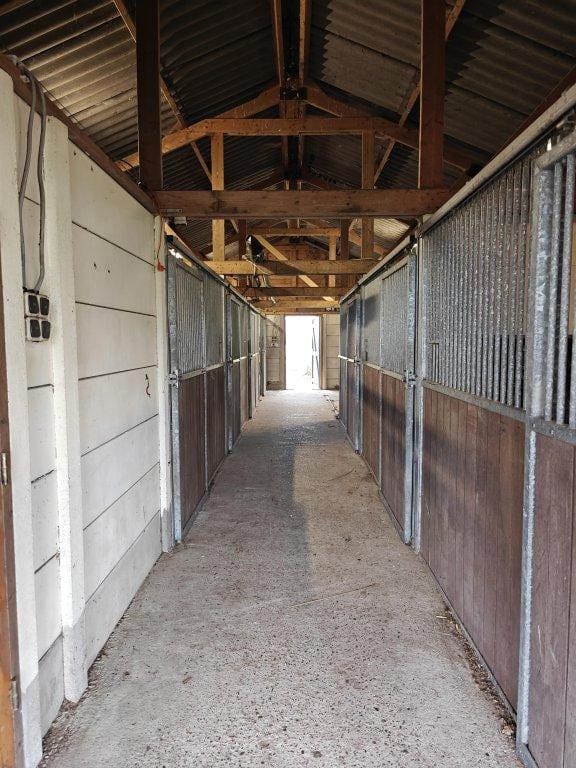 Foto 22 van Witte Menweg 6