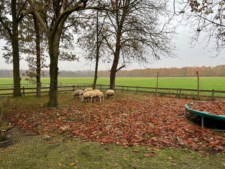 Foto 26 van Witte Menweg 6